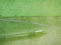 DSCN9833.jpg