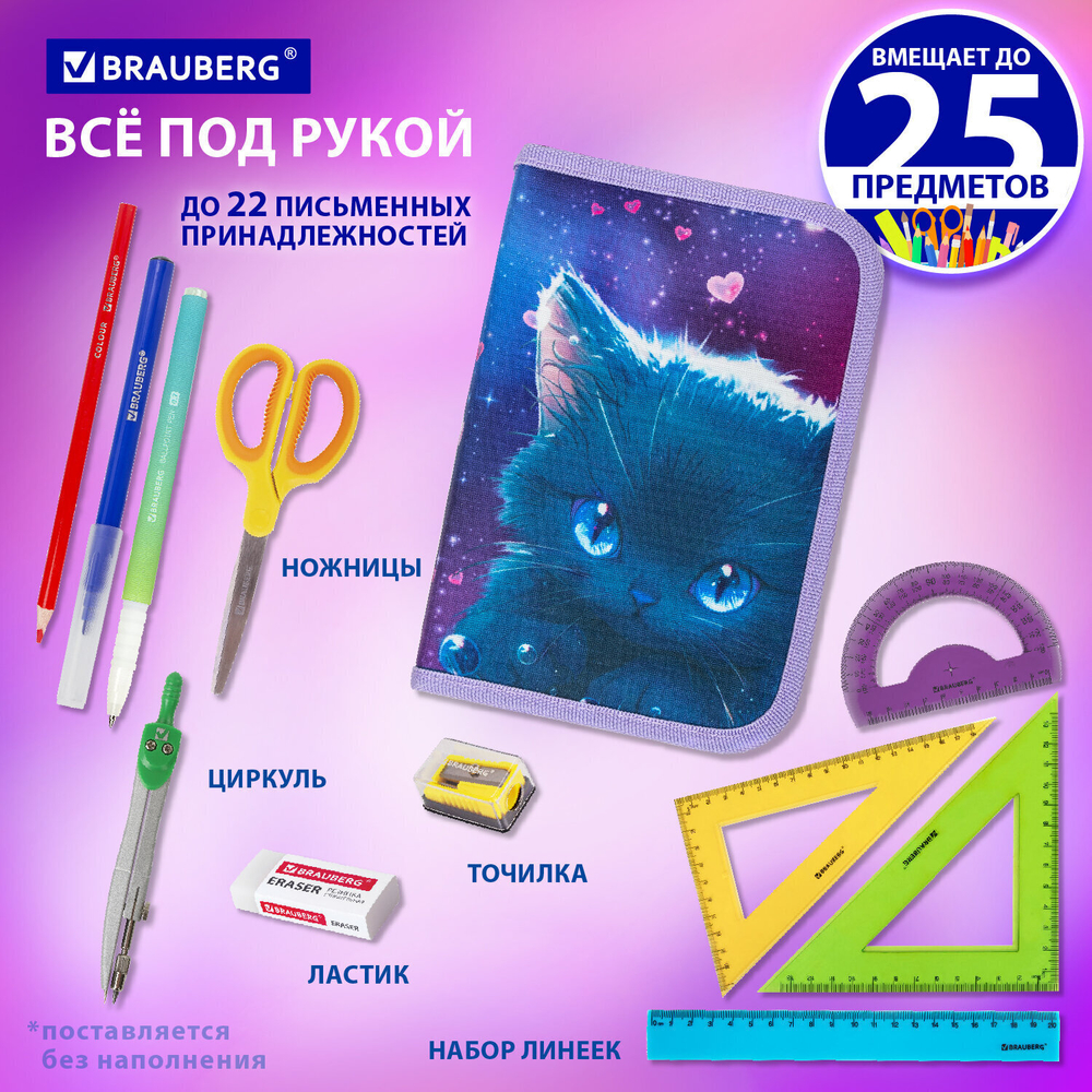 Пенал BRAUBERG 1 отделение 1 откидная планка полиэстер 21х14 см "Anime cat" (2 штуки в упаковке)