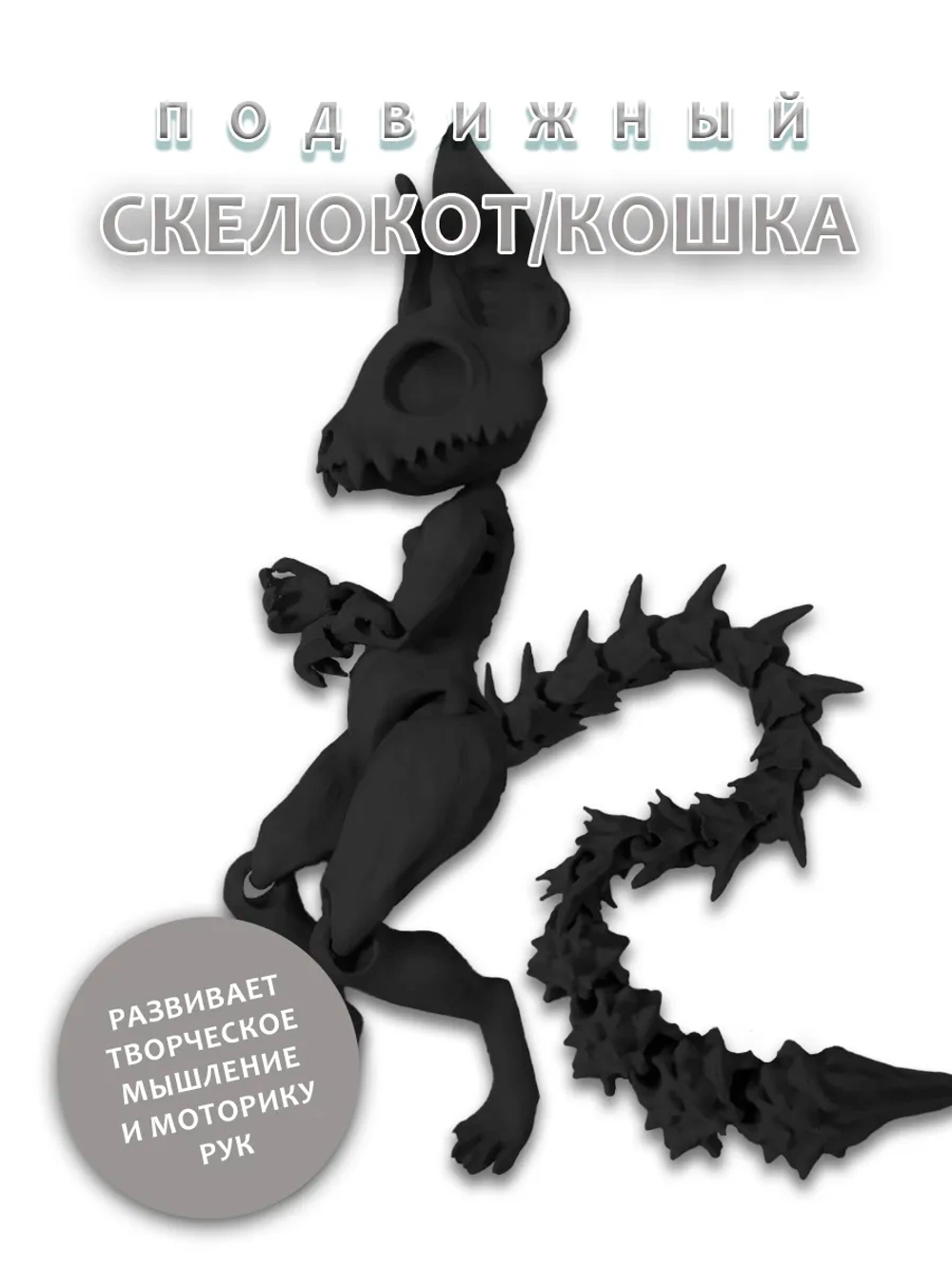 Скелет Кошки