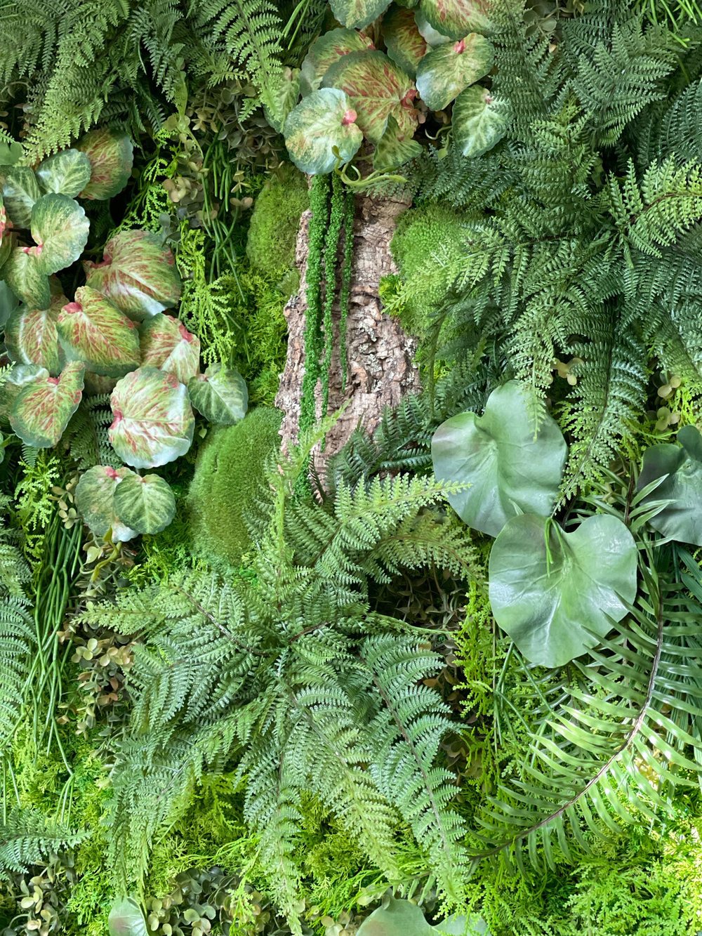 Лотос листья 5 шт