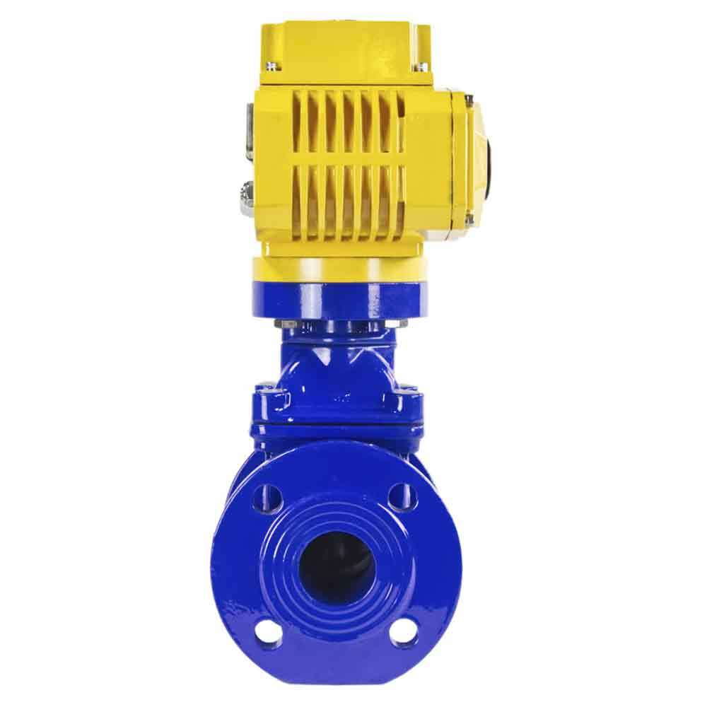 Wedge gate valve 30c939r blue Elephant-GGG50-EPDM-F4-BLUE PSI232 class 150 T=230-248°F flange connection, with rubber lined wedge EPDM, electric actuator Elephant MT-110/220, 110/220V