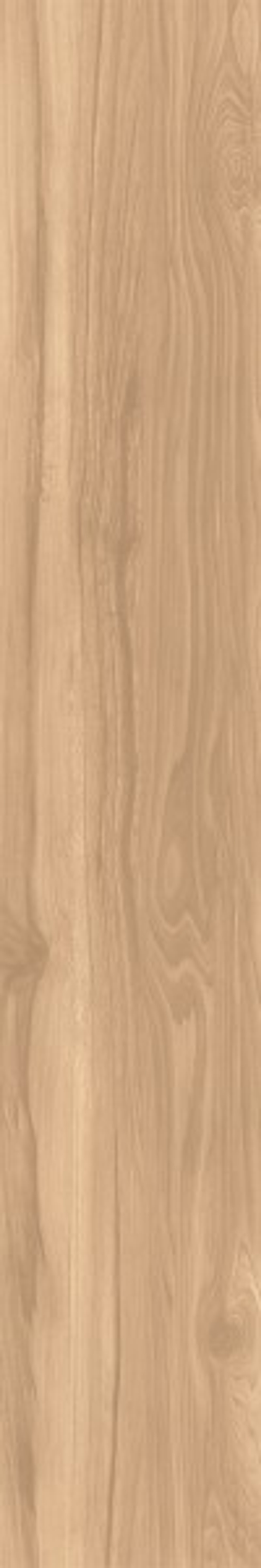 FOSSIL WOOD BRICH CW-RT09-B