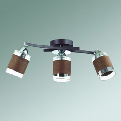 Спот Lumion 3030/3CA
