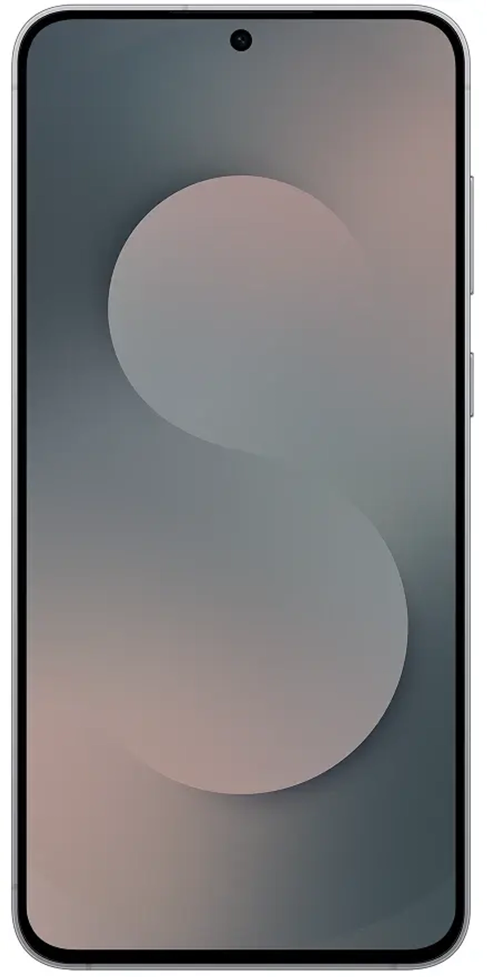 Samsung S25 FE