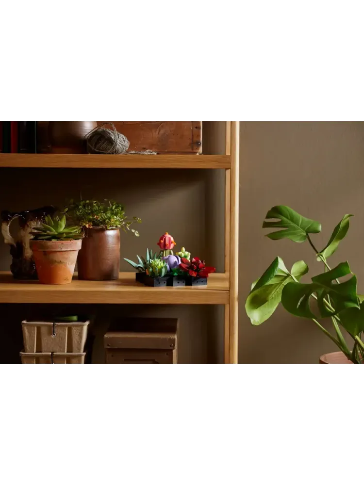 Конструктор Botanical Collection 10309 Суккуленты