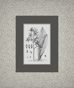 Картина 053 (X)