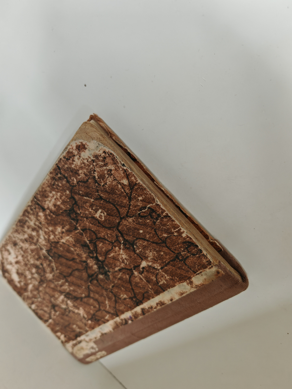 Брат и сестра