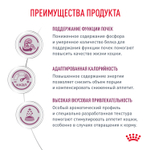 Royal Canin Renal with Chicken 85 г. Ренал для кошек для поддержания функции почек с курицей