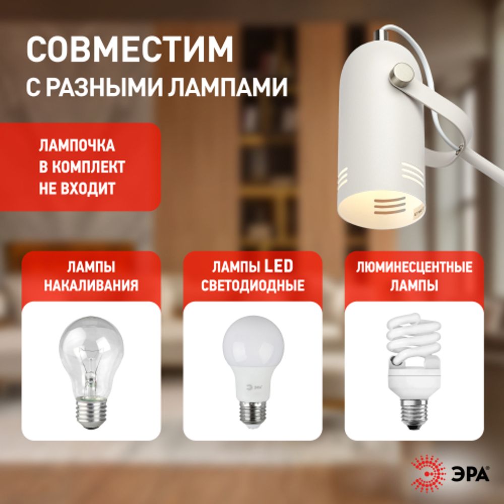 Настольный светильник ЭРА N-117-Е27-40W-W белый