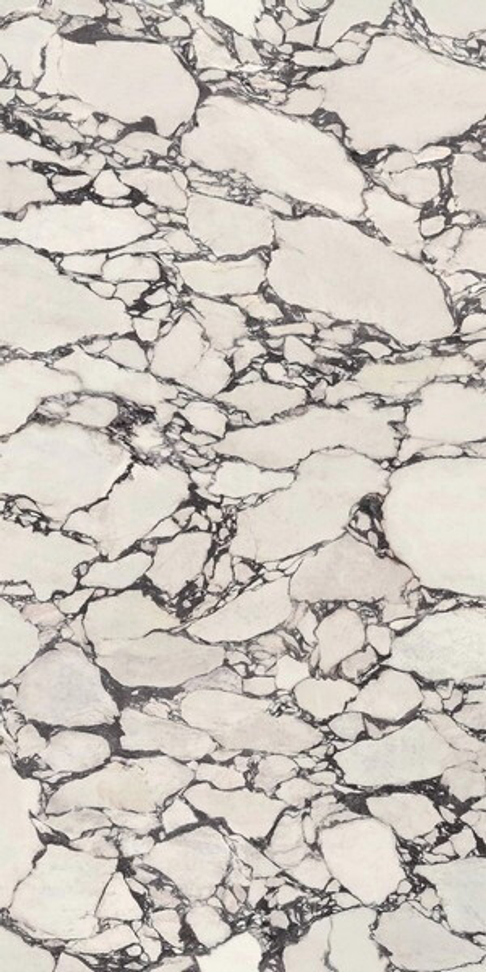 Керамогранит ATLAS CONCORDE MARVEL EPIC Calacatta Viola Polished 160x320 - 6mm Глянц.