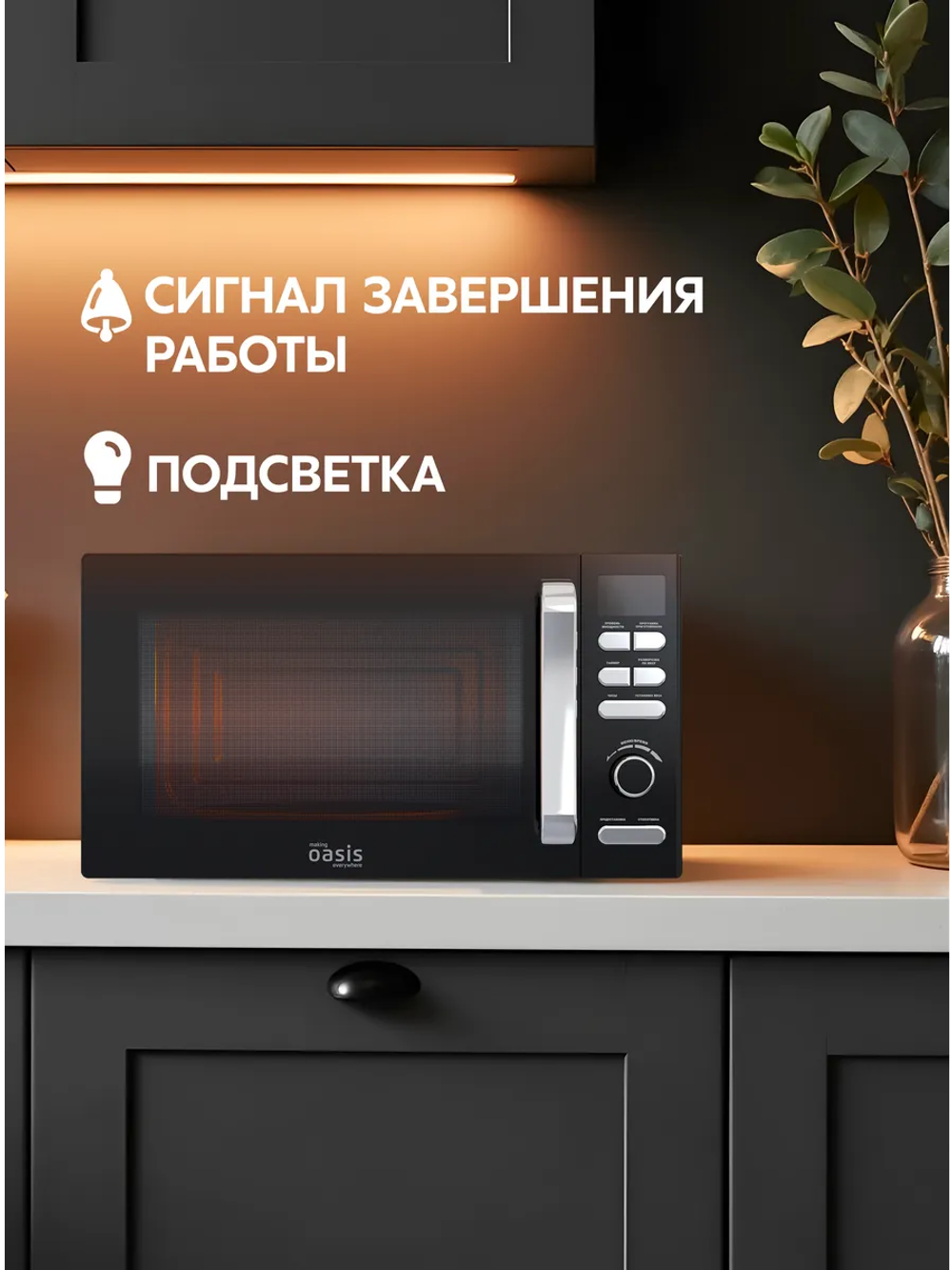 Микроволновая печь OASIS MW-80EB
