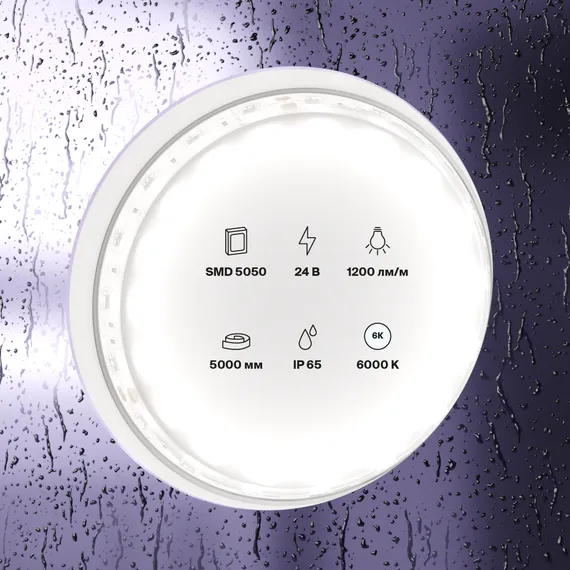 Светодиодная лента 24В 5050 14,4Вт/м 6000K 5м IP65 Led Strip 10173