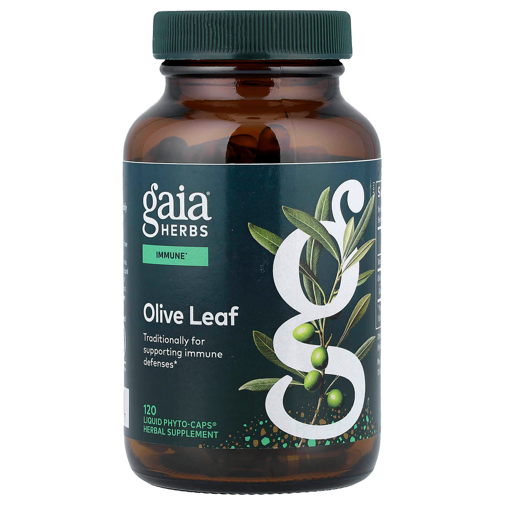 Gaia Herbs, лист оливкового дерева, 120 капсул Phyto-Caps®