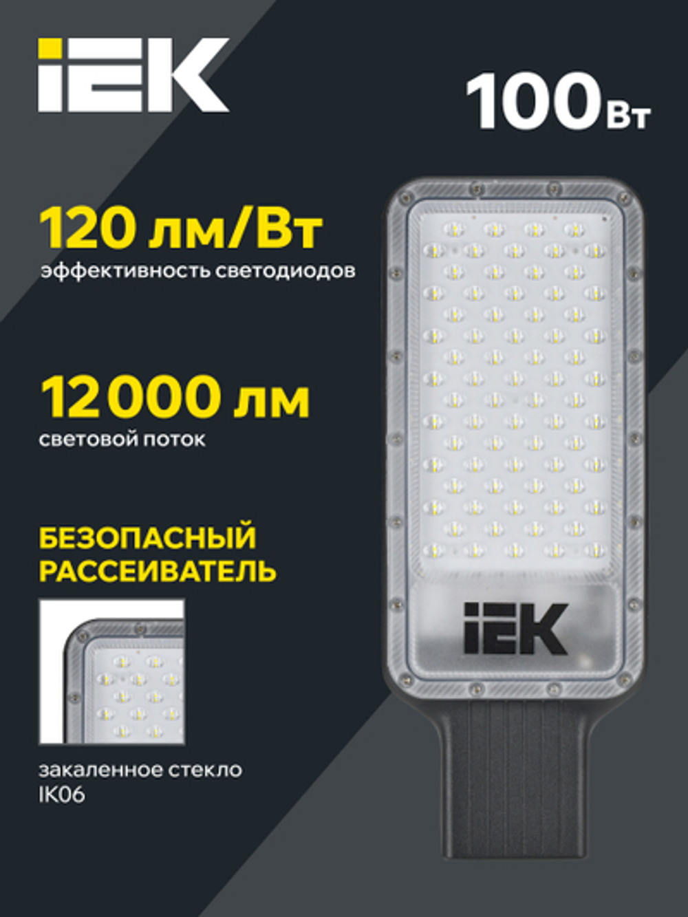 Светильник светодиодный консольный ДКУ 1011-100Ш 5000К IP65 IEK