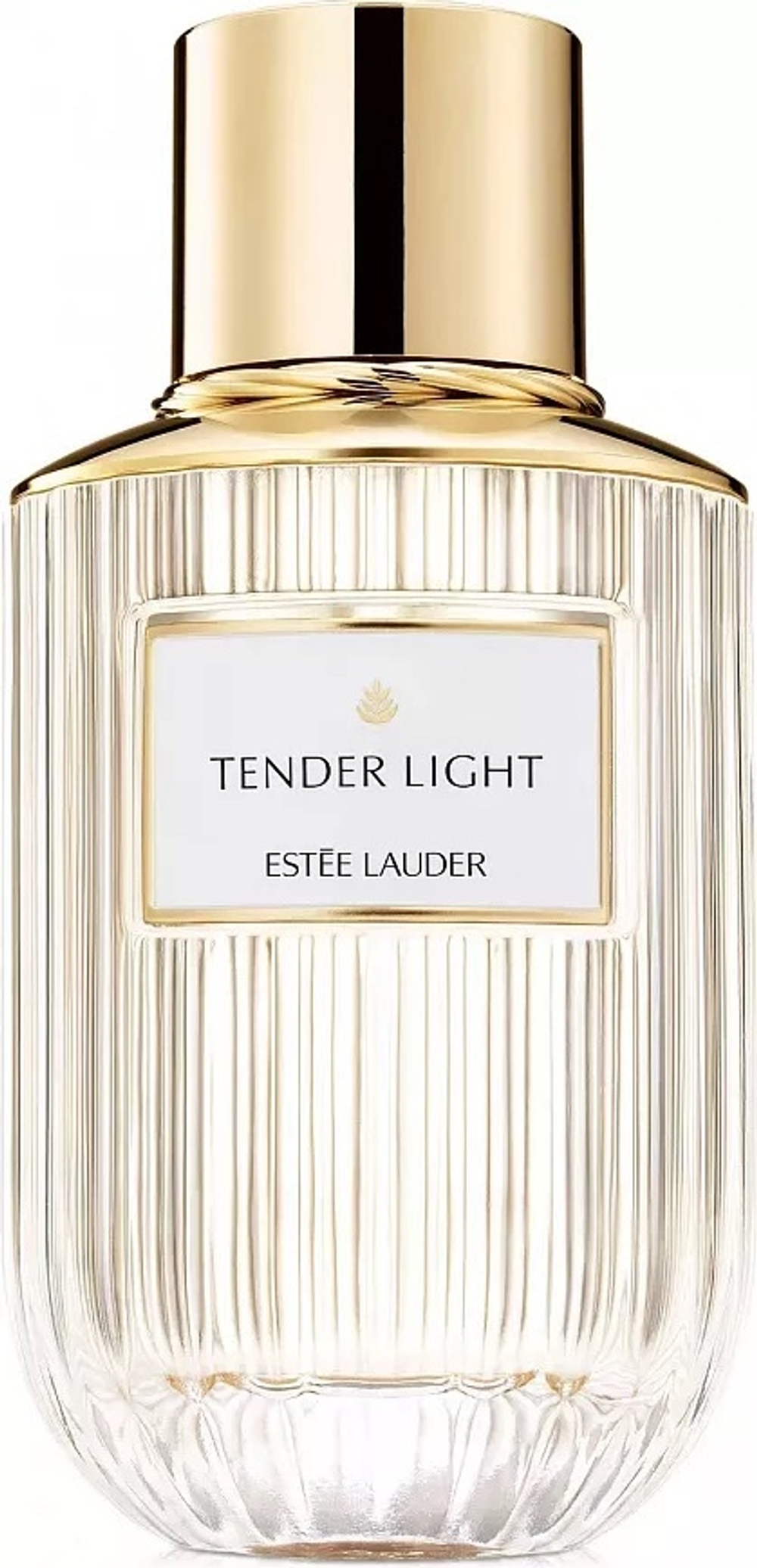 Estee Lauder Tender Light