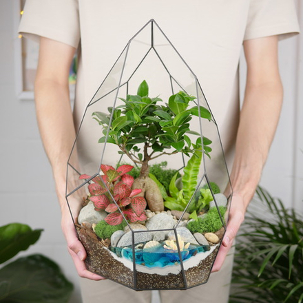 Готовый флорариум бонсай Фикус гинсенг Айсберг с озером