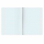 Тетради предметные, КОМПЛЕКТ 12 ПРЕДМЕТОВ, 48 л., обложка картон, BRAUBERG "BLACK", 405164