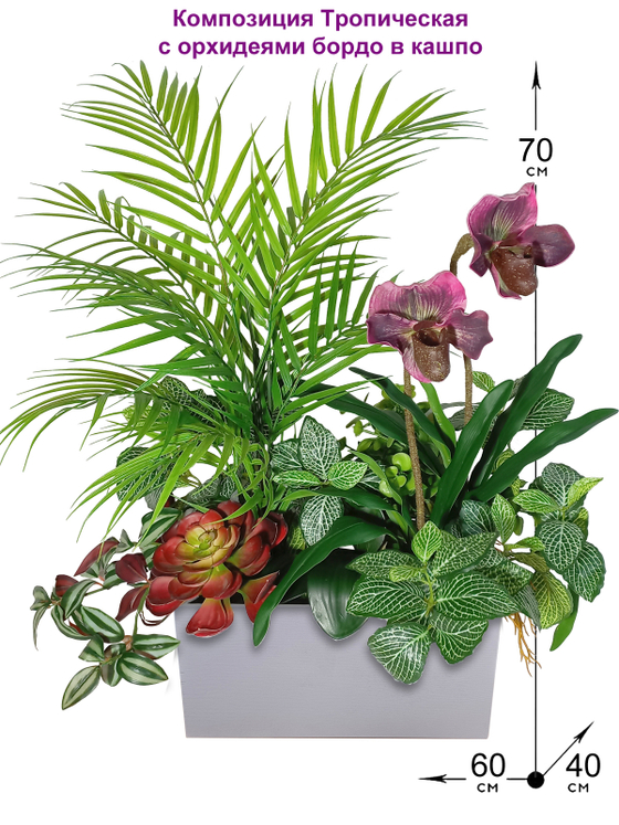 Композиция Тропическая с орхидеями бордо в кашпо