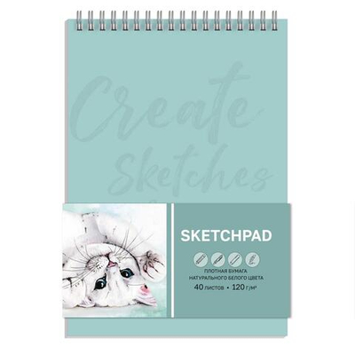 Скетчпад А5+ 40л. белый офсетна гребне "Котёнок" (Феникс+)