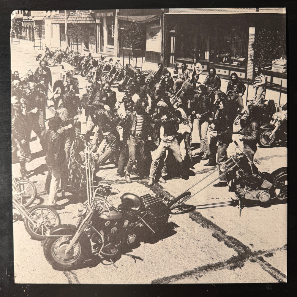 The Boyzz ‎– Too Wild To Tame (Япония 1978г.)