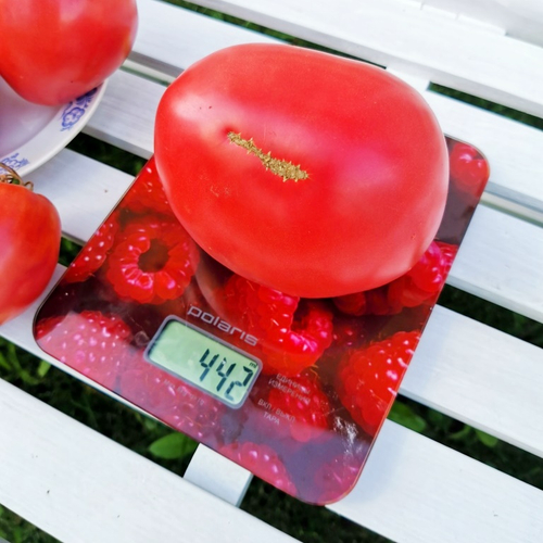 Помидоры Благодарное Сердце