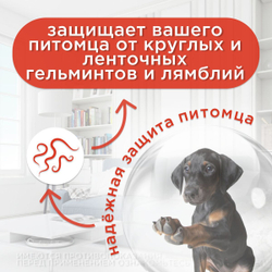 Таблетки от гельминтов для собак Празицид APICENNA, 6таб. Празиквантел/Пирантел