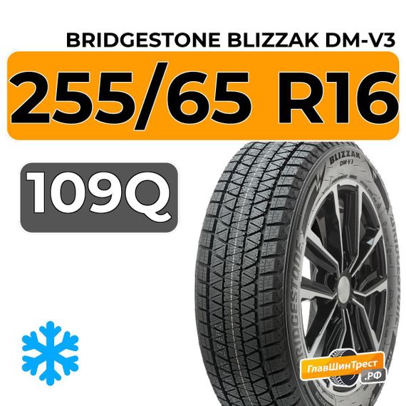 Bridgestone Blizzak DM-V3 255/65 R16 109Q