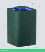 Умная колонка Яндекс Станция Макс с Zigbee зеленый (YNDX-00053Z)