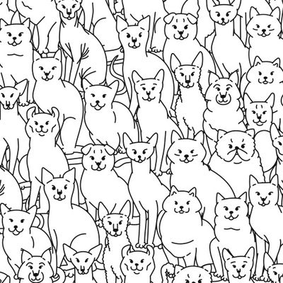 Много котиков