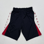 Шорты AirJordan dri-fit