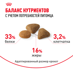 Royal Canin Savour Exigent Корм сухой сбалансированный для привередливых взрослых кошек от 1 года - 0,4 кг