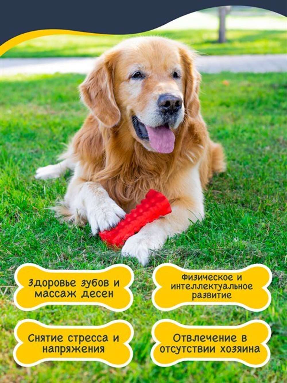 FANCY Pets Игрушка для собак "Кусалка"