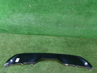 Накладка юбки заднего бампера BMW X6 F16 (2014-2020)