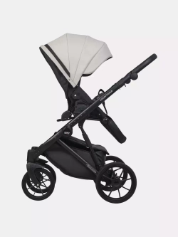 Коляска MONTANA ECCO (2 в 1) (RIKO BASIC)