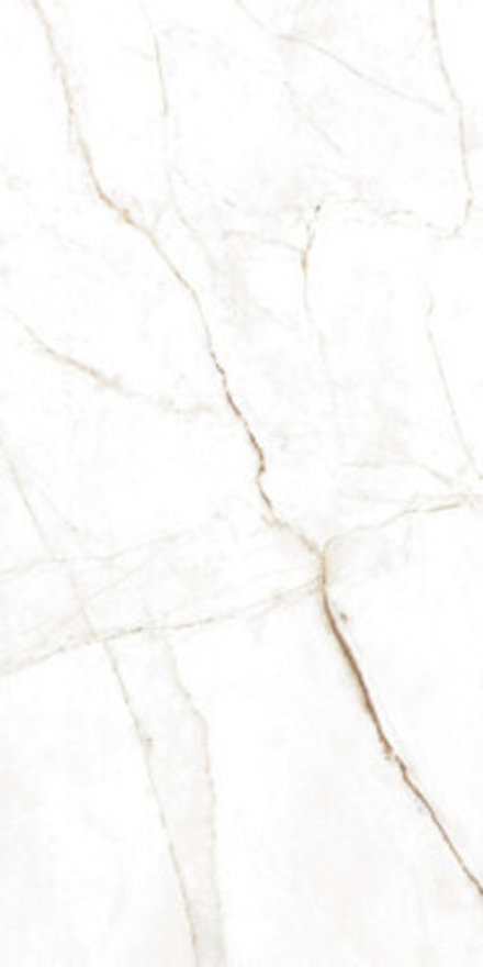 Керамогранит MUSEUM DUAL WHITE NT/C/R