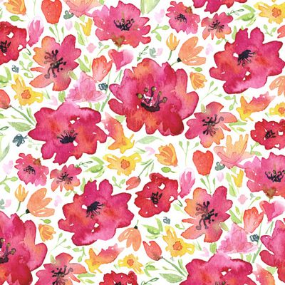 Полевые цветы (на белом фоне)