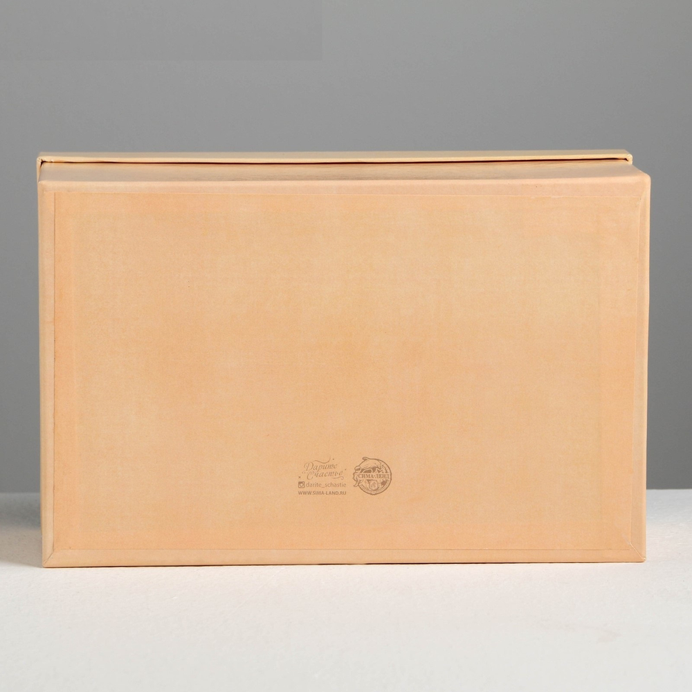 Коробка прямоугольная Хокусай, 24х15.5х9.5 см