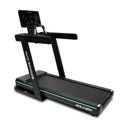 Беговая дорожка BRONZE GYM WALKWAY