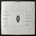 The Boomtown Rats ‎– In The Long Grass (США 1984г.)