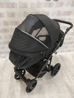 Коляска модульная Adamex Amelia AM238