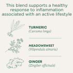 Traditional Medicinals, органическая куркума и имбирь с лабазником, без кофеина, 16 чайных пакетиков в упаковке, 32 г (1,13 унции)
