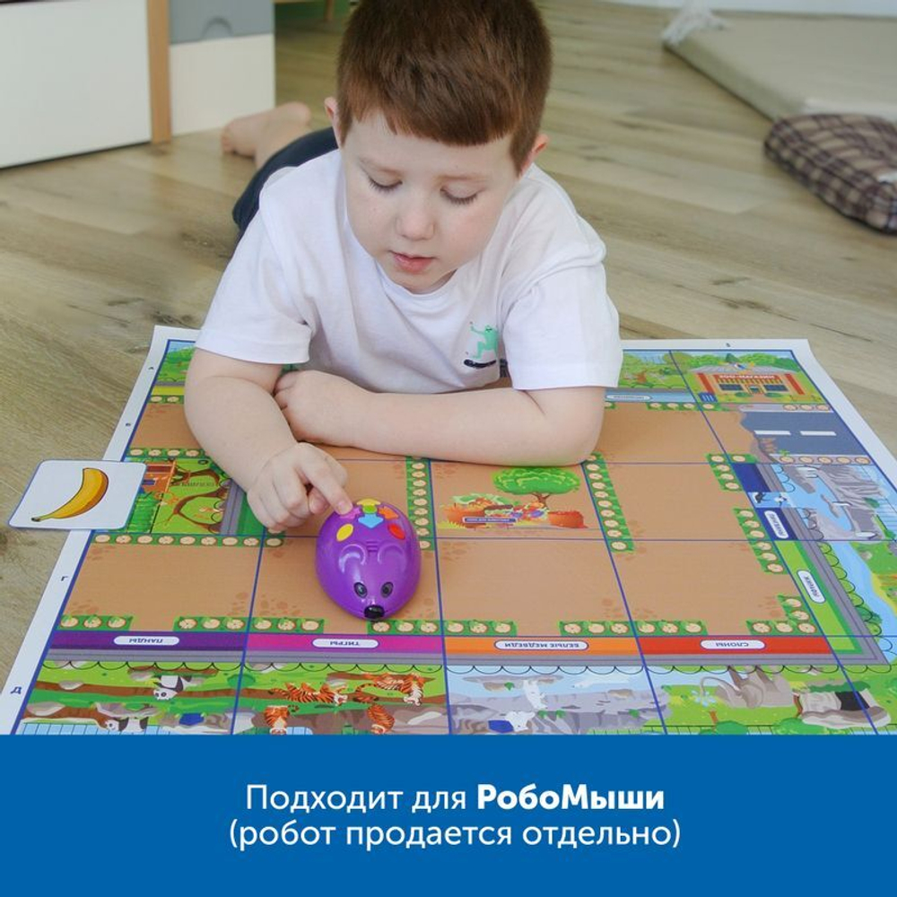 Комплект тематических полей Городские истории с РобоМышью, 5 элементов