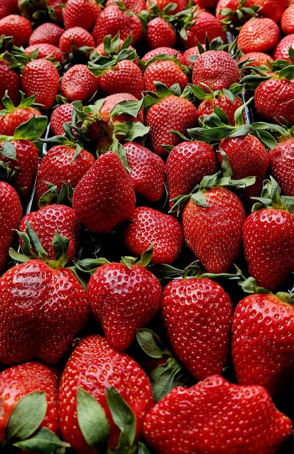 Клубника Сладкая