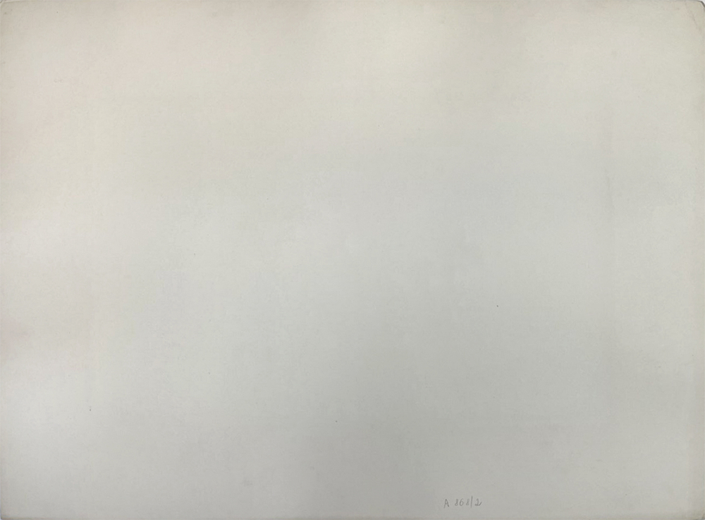 Н. Н. Каразин (1842–1908)  Сражение под Чандыром 16 июня 1873 года. Литография. 1880-е.