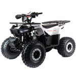 Квадроцикл Motoland (п) 125 STORM A