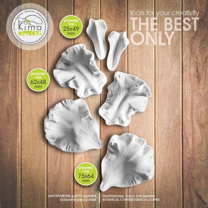 Ирис бородатый