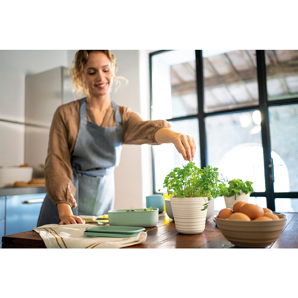 Кашпо для комнатных растений tierra, бежевое