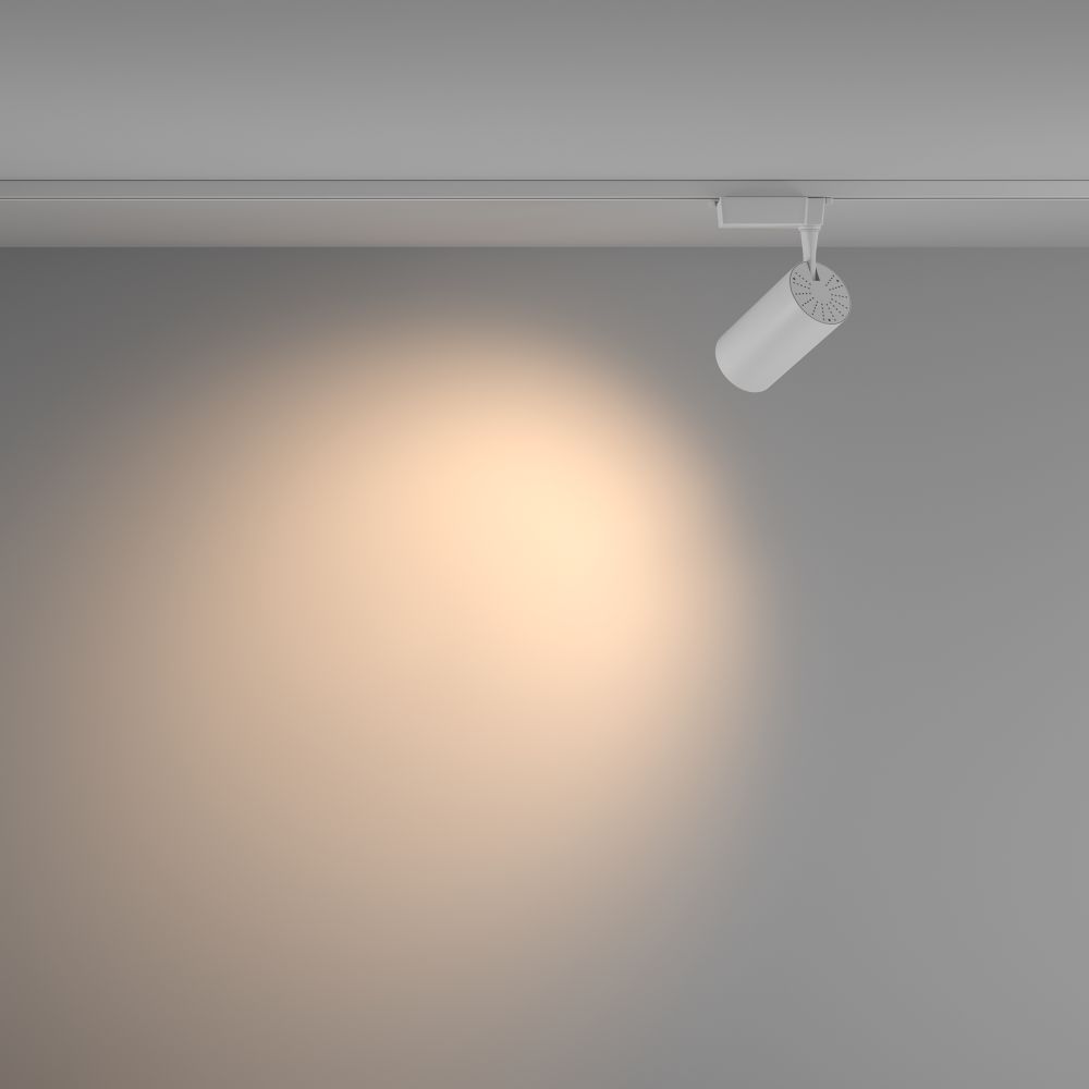 Трековый однофазный светодиодный светильник Maytoni Unity Vuoro TR003-1-36W3K-W-W