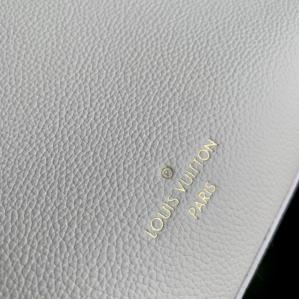 Louis Vuitton Lock & Go Bag