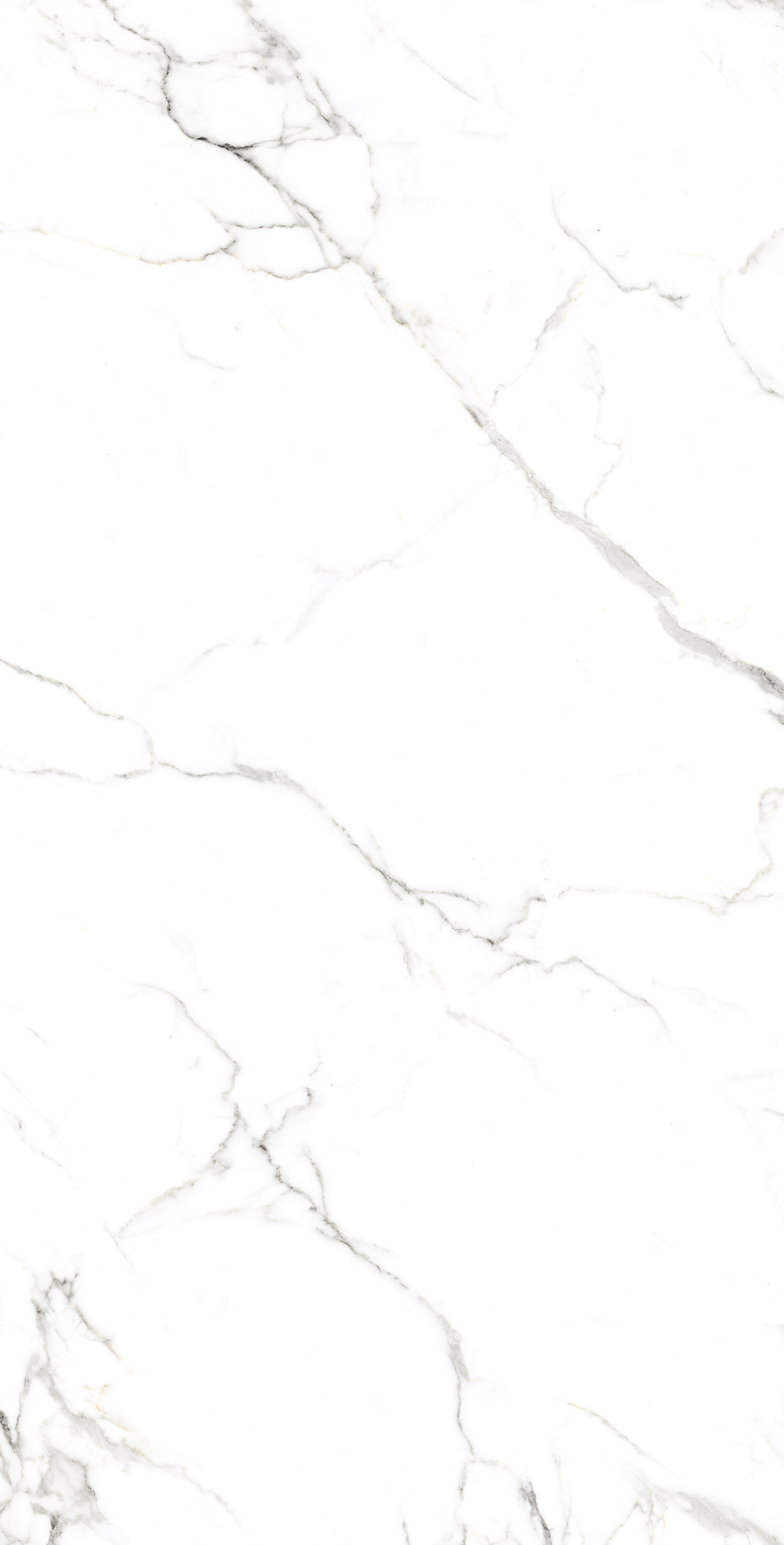 Керамогранит, Arcadia Ceramica, STATUARIO FINE, 1200x600 мм, полированная